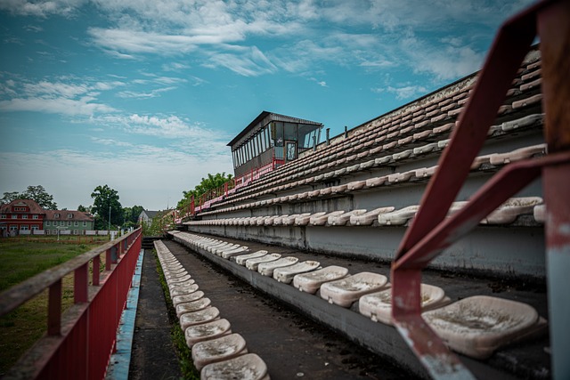 肌肉而胸肌 肌肉而胸肌