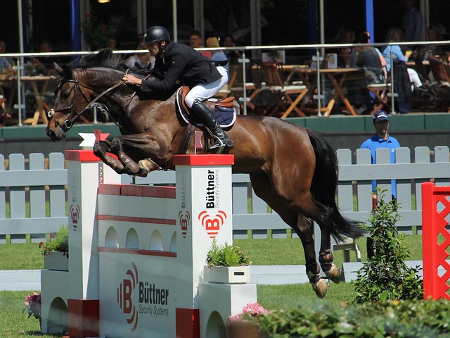 重新证明自 重新证明自