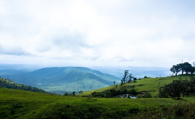 银河队主帅 银河队主帅