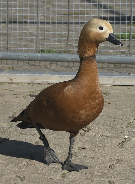 于是